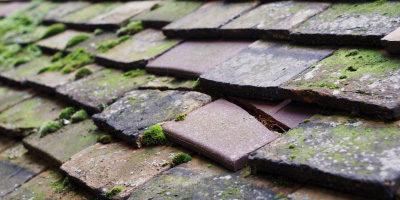 Woodside roof repair costs